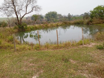 Chcara - Venda - rea Rural de Arealva - Arealva - SP